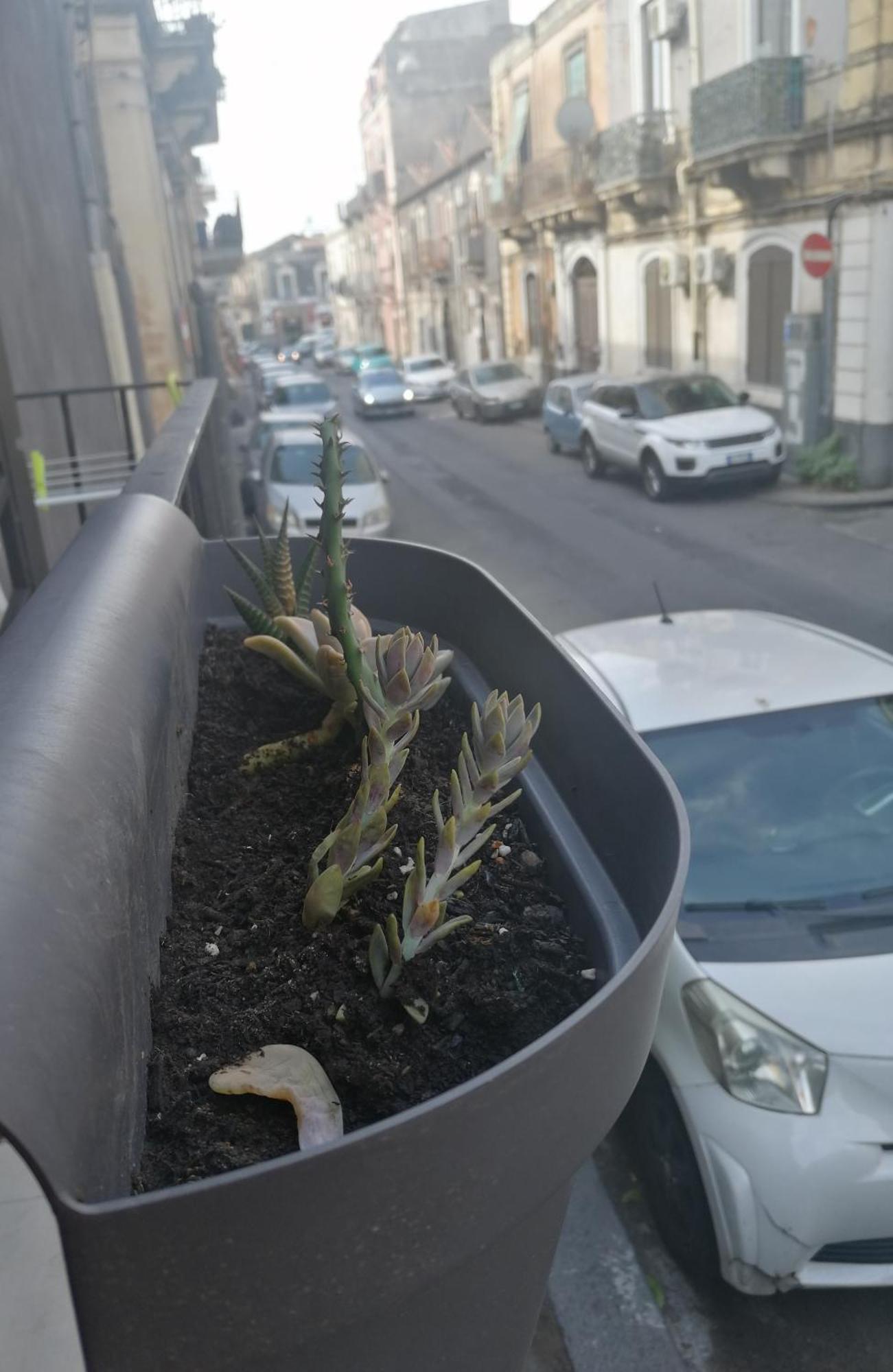 Casa Mariu Villa Catania Kültér fotó